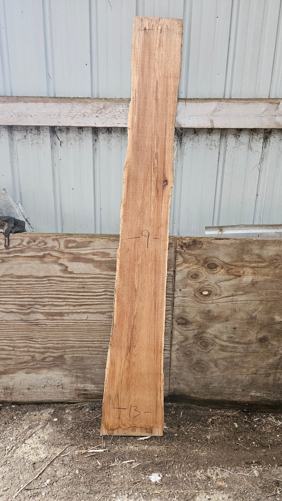 Pin Oak 83x5-11x1