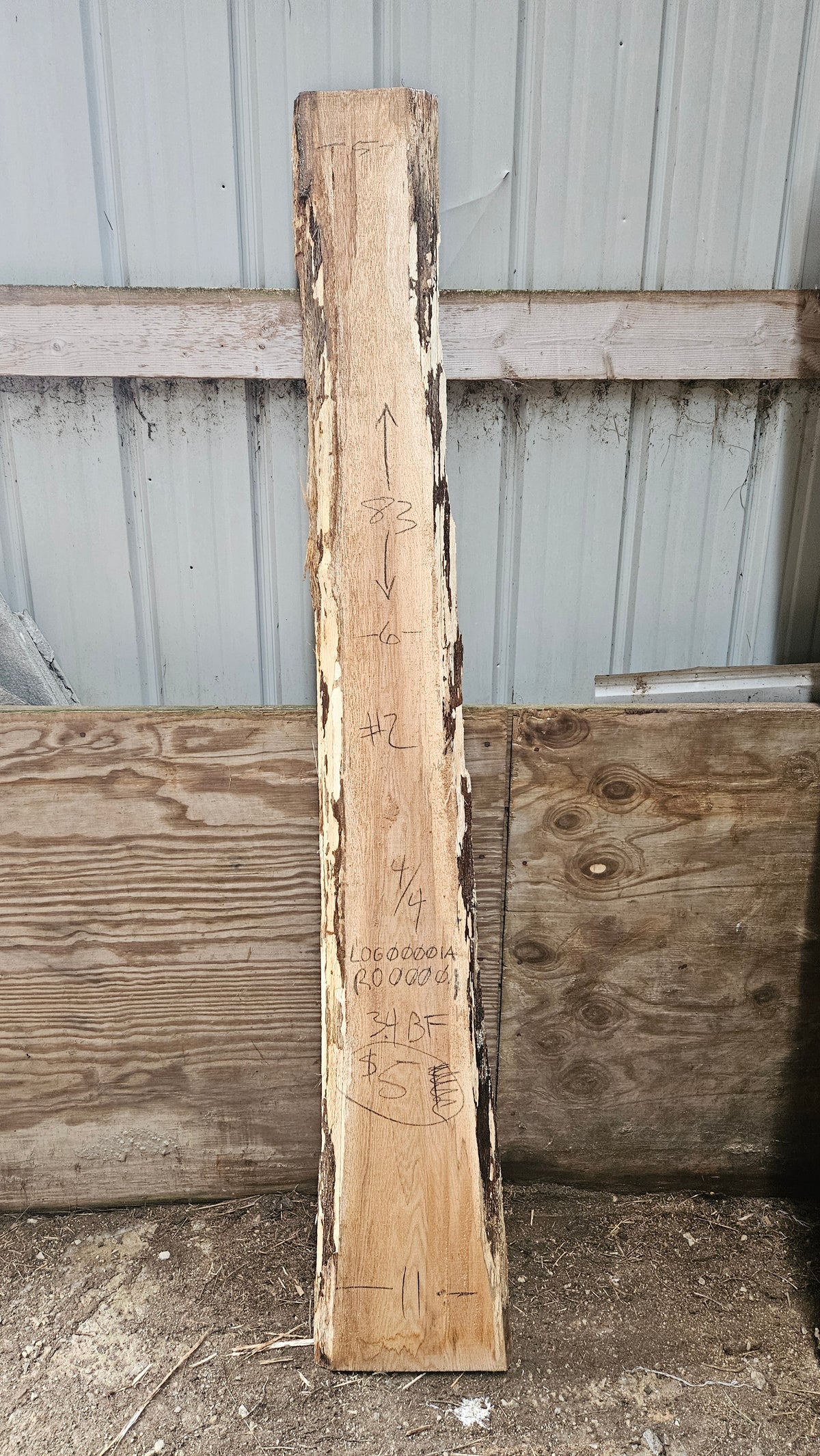 Pin Oak 83x5-11x1