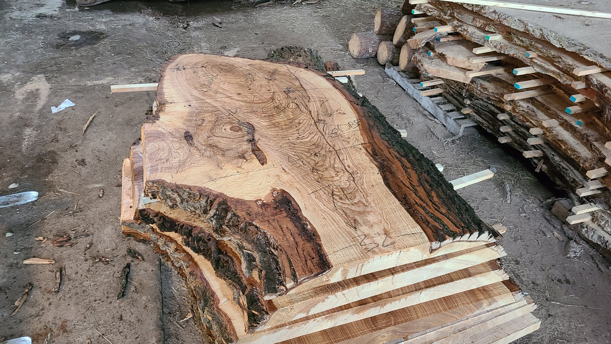 Ash Slab 71"x24"-43"x3"