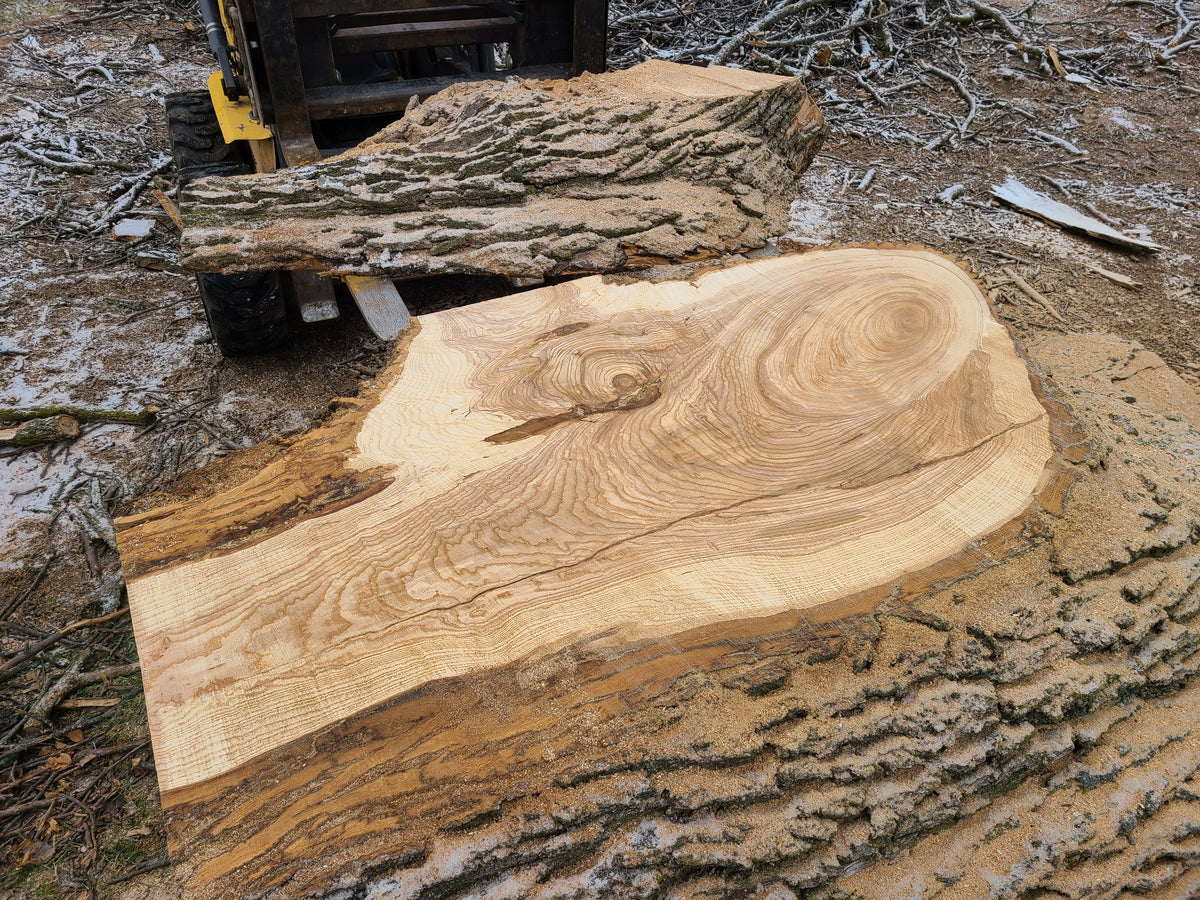 Ash Slab 71"x24"-43"x3"