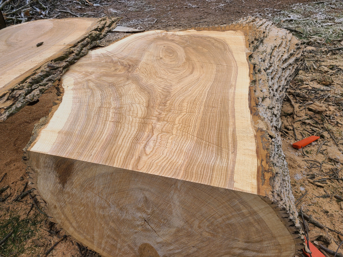 Ash Slab 69"-99"x41"-51"x3"