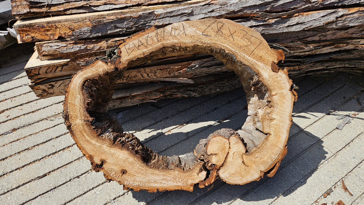 Wild Hallow Basswood Cookie 28"x37"x4"