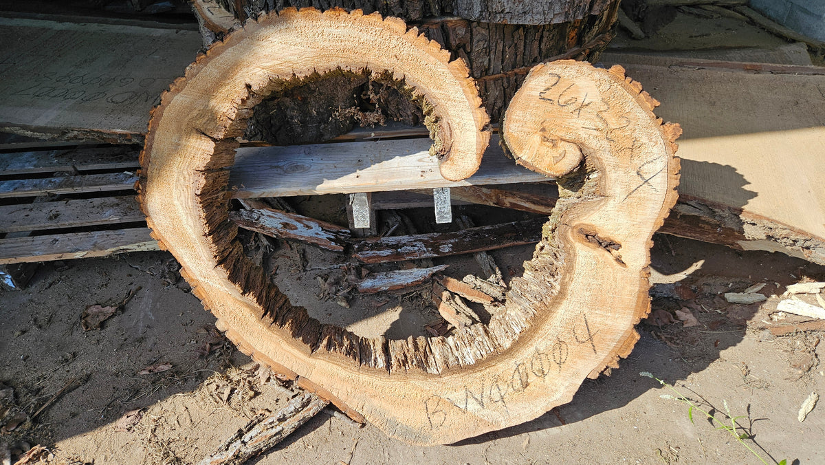 Wild Hallow Basswood Cookie 24"x34"x4"