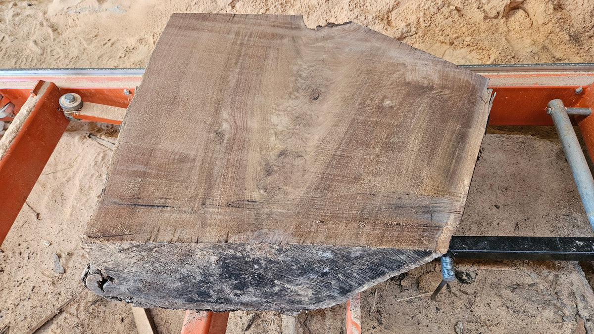 Black Walnut Live Edge Turning Blank 22"x21"-29"x5-8"