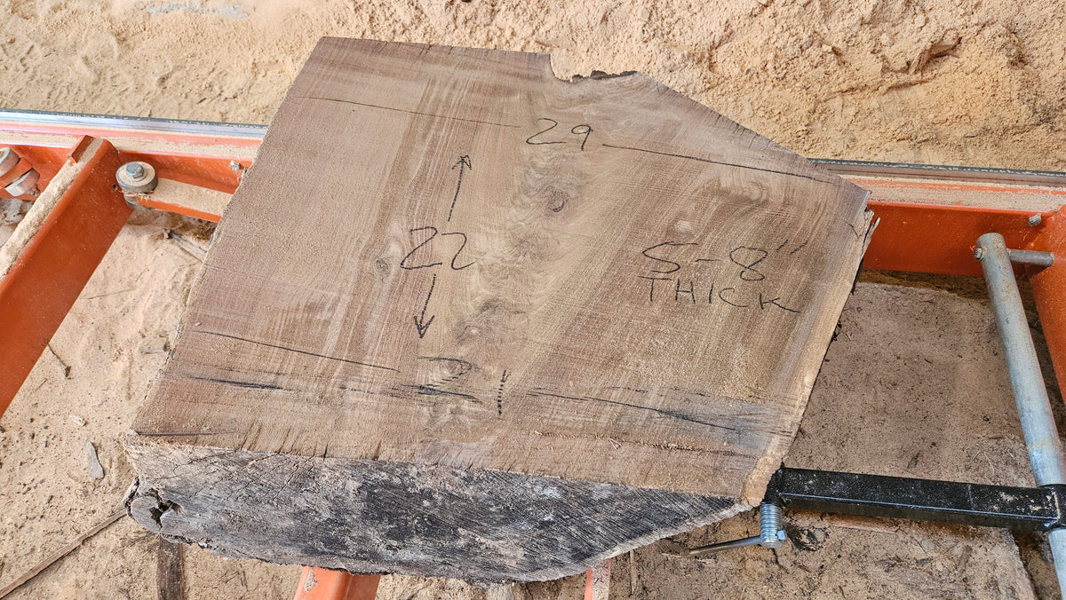 Black Walnut Live Edge Turning Blank 22"x21"-29"x5-8"