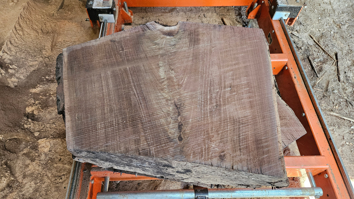 Black Walnut Live Edge Turning Blank 23"x22"-29"x6-8"