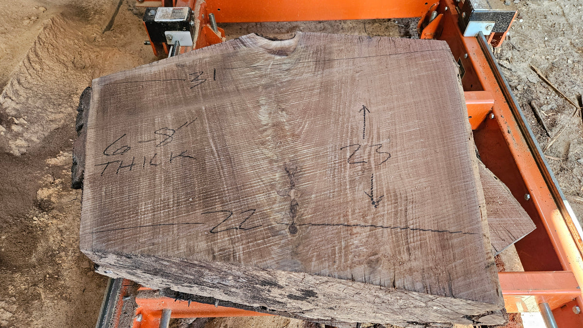 Black Walnut Live Edge Turning Blank 23"x22"-29"x6-8"