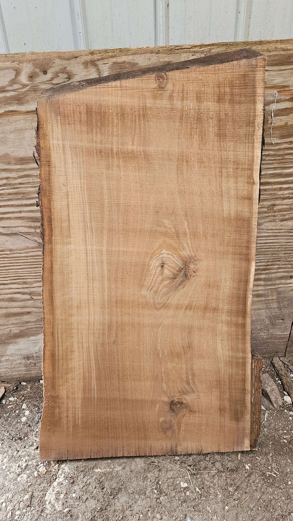 Black Walnut Live Edge Slab 41"x20"-25"x2"