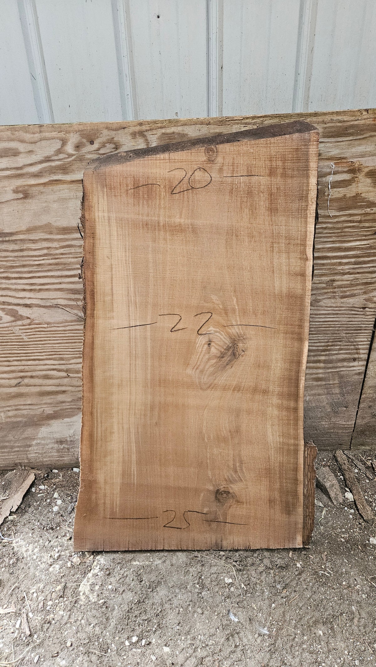Black Walnut Live Edge Slab 41"x20"-25"x2"