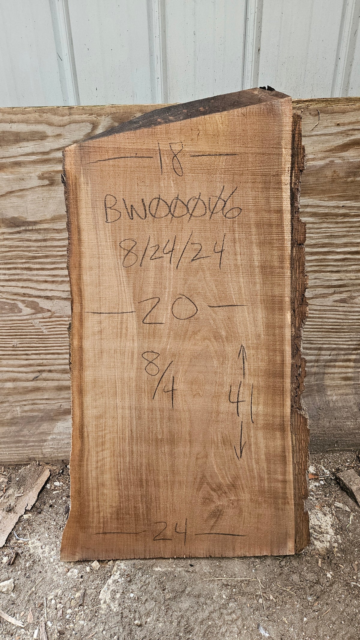 Black Walnut Live Edge Slab 41"x18"-24"x2"