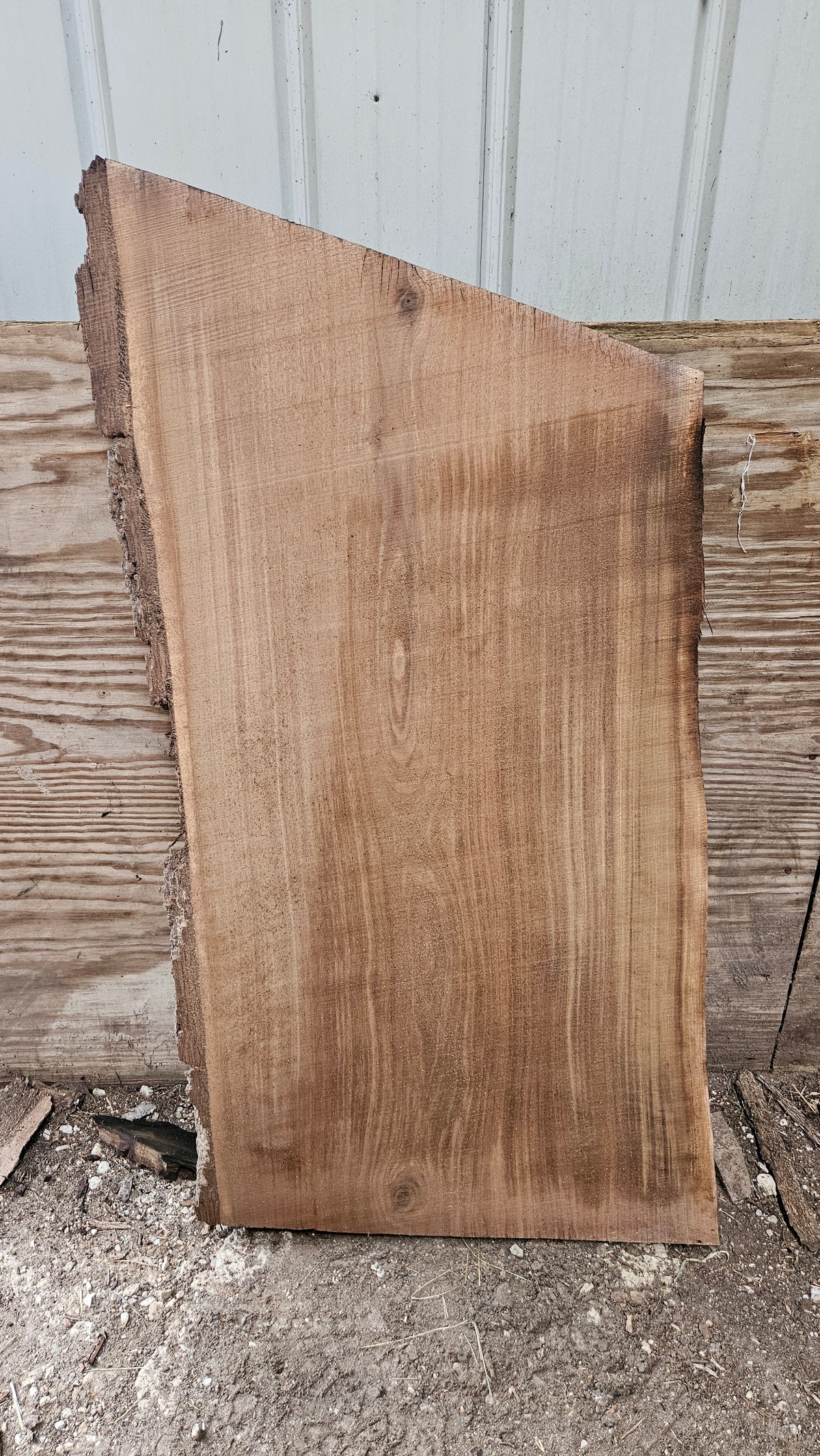 Black Walnut Live Edge Slab 41"x22"-25"x2"