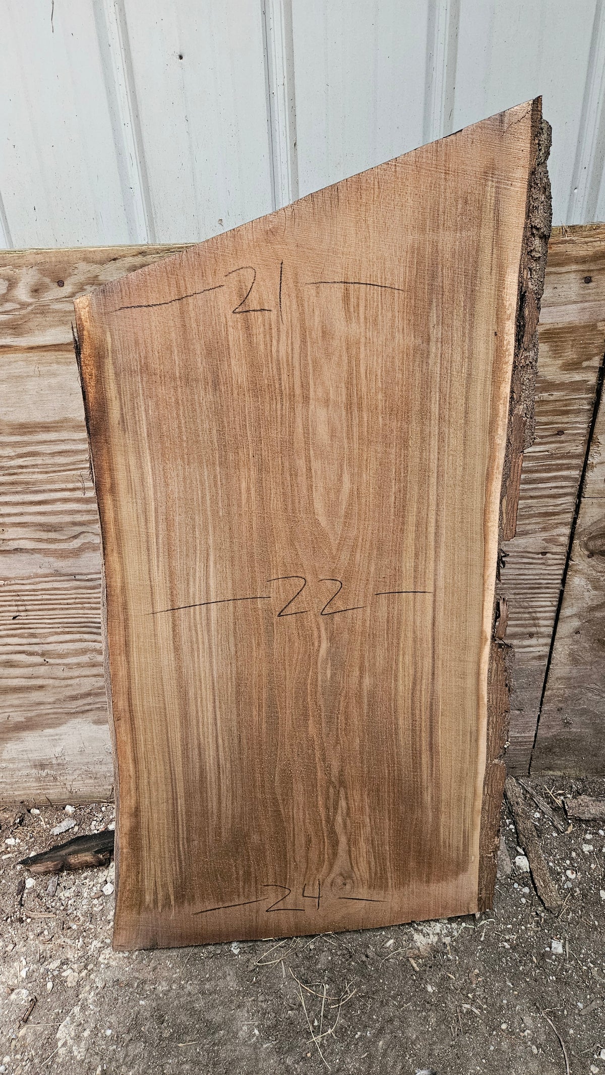 Black Walnut Live Edge Slab 41"x22"-25"x2"