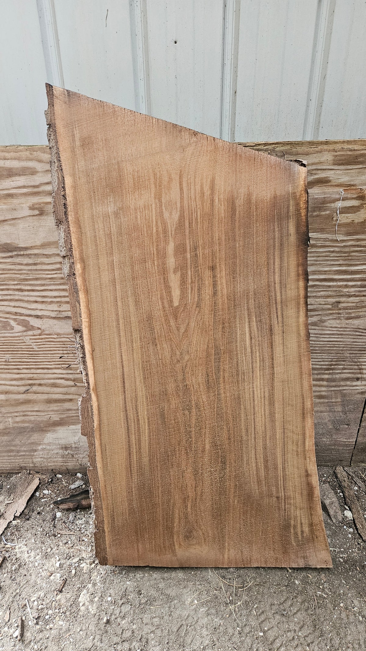 Black Walnut Live Edge Slab 41"x22"-24"x2"