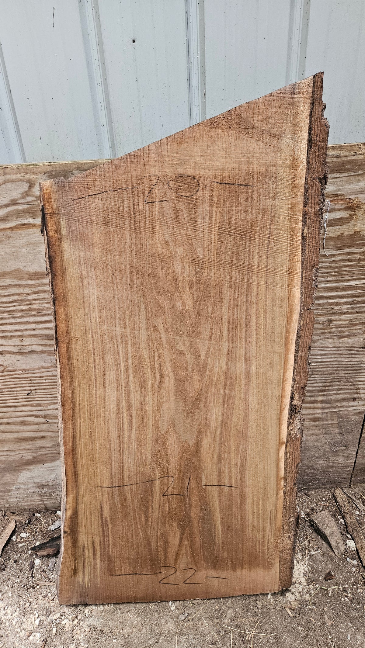 Black Walnut Live Edge Slab 41"x22"-24"x2"