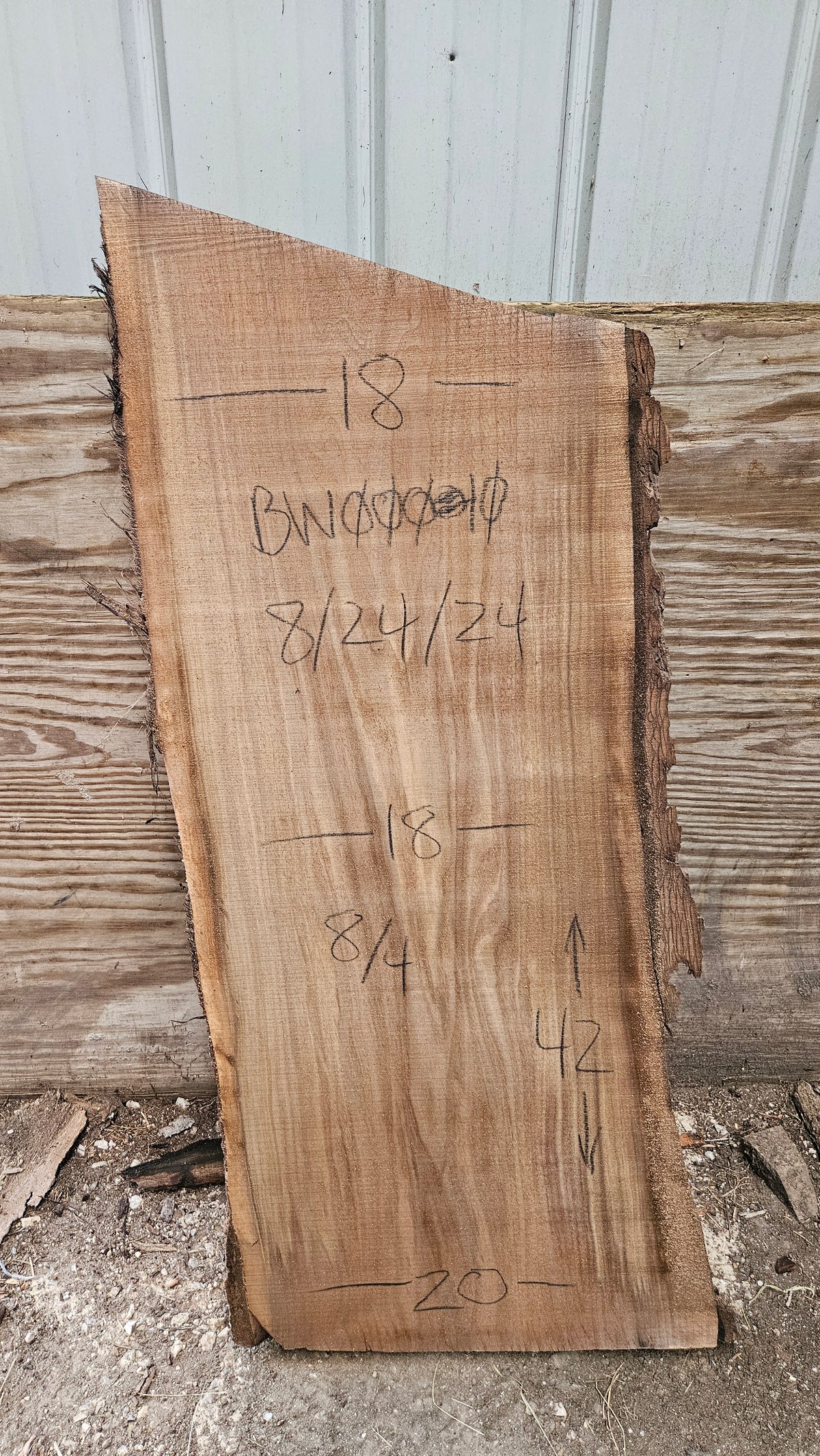 Black Walnut Live Edge Slab 42"x18"-20"x2"