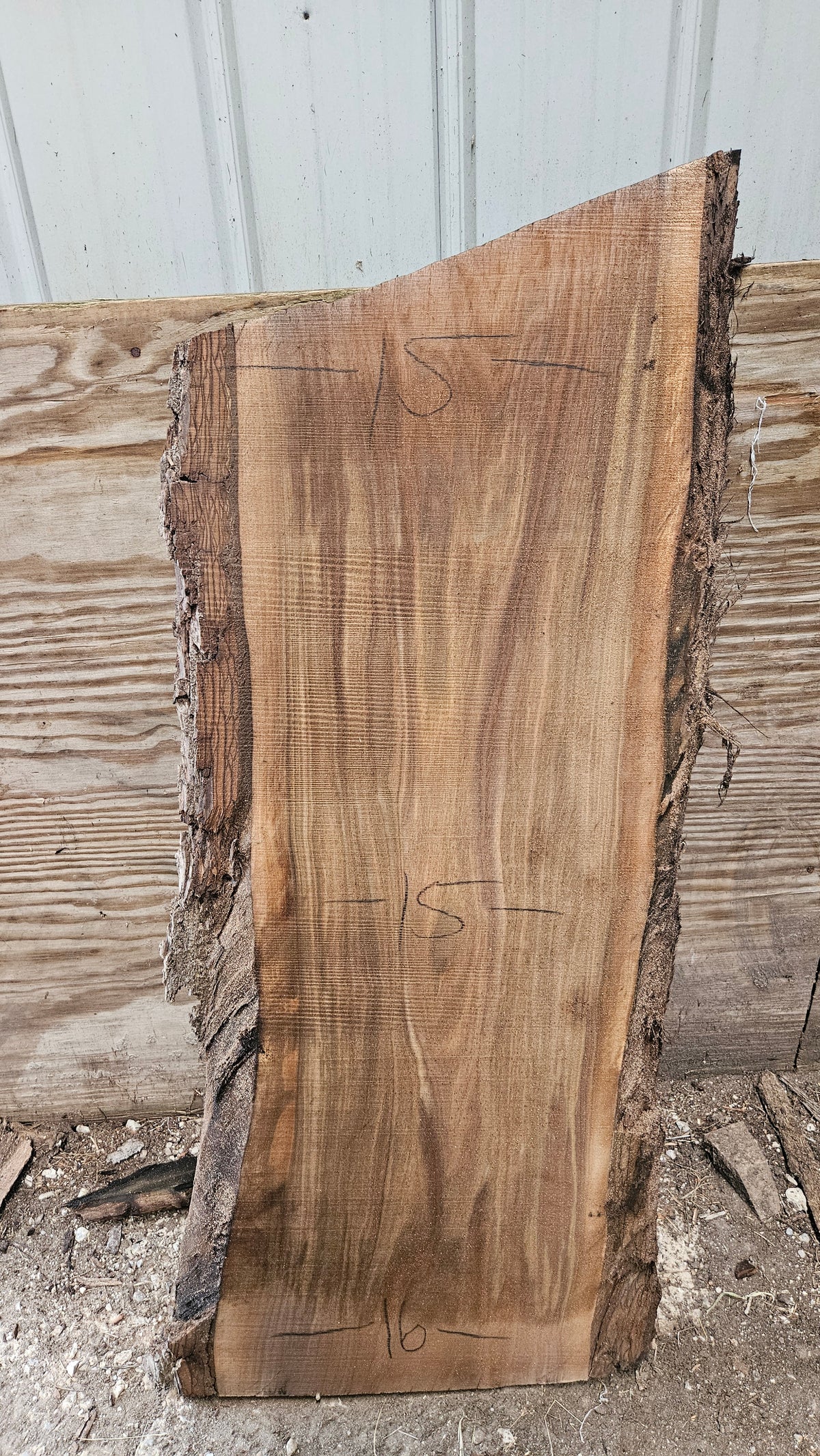 Black Walnut Live Edge Slab 42"x18"-20"x2"