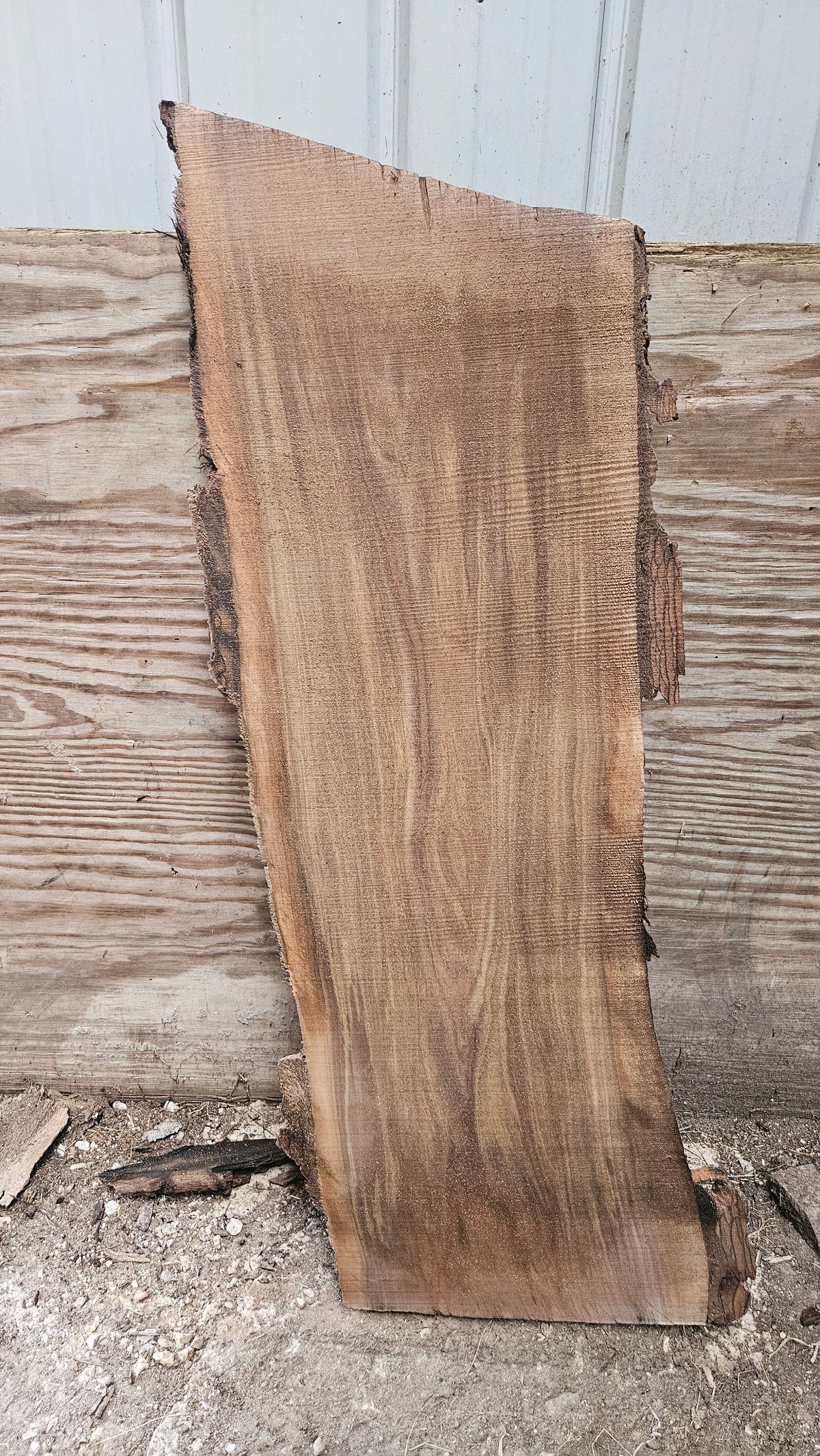 Black Walnut Live Edge Slab 43"x15"x2"