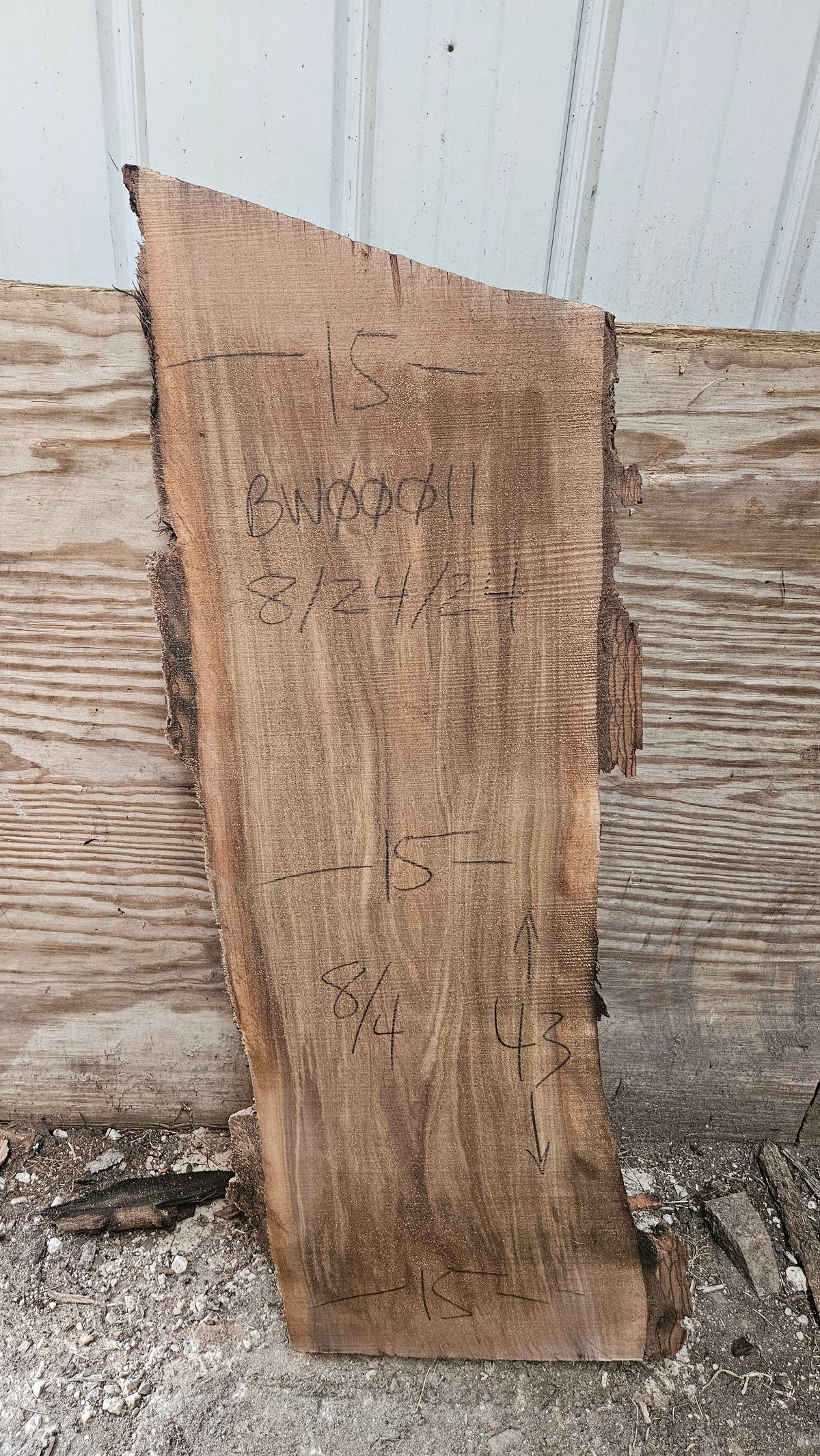 Black Walnut Live Edge Slab 43"x15"x2"