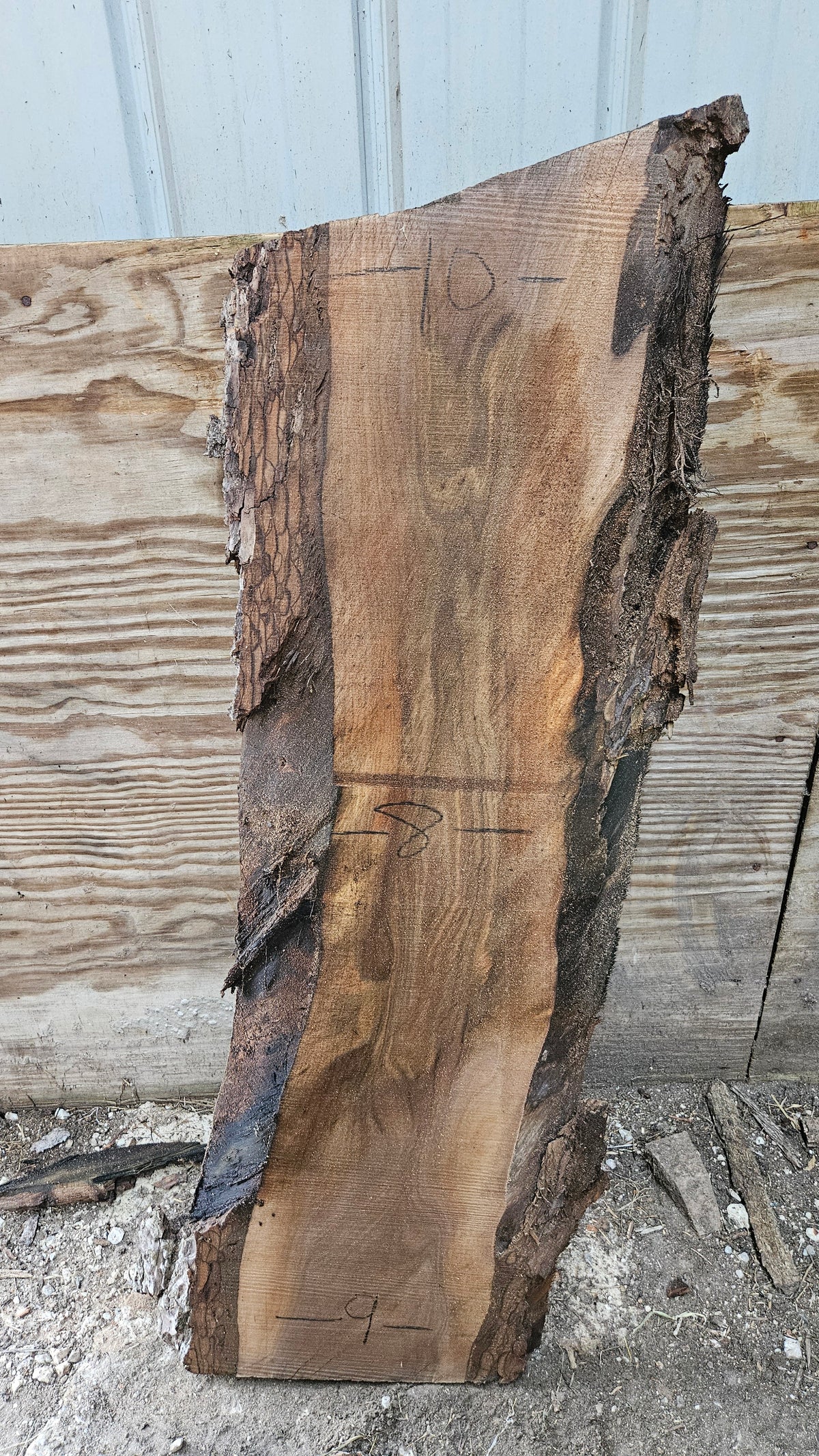Black Walnut Live Edge Slab 43"x15"x2"