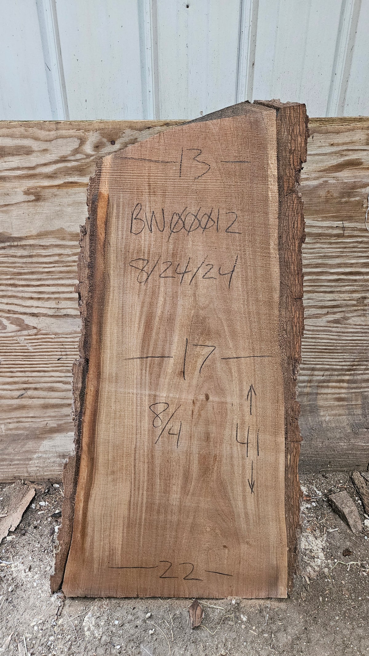 Black Walnut Live Edge Slab 41"x13"-22"x2"
