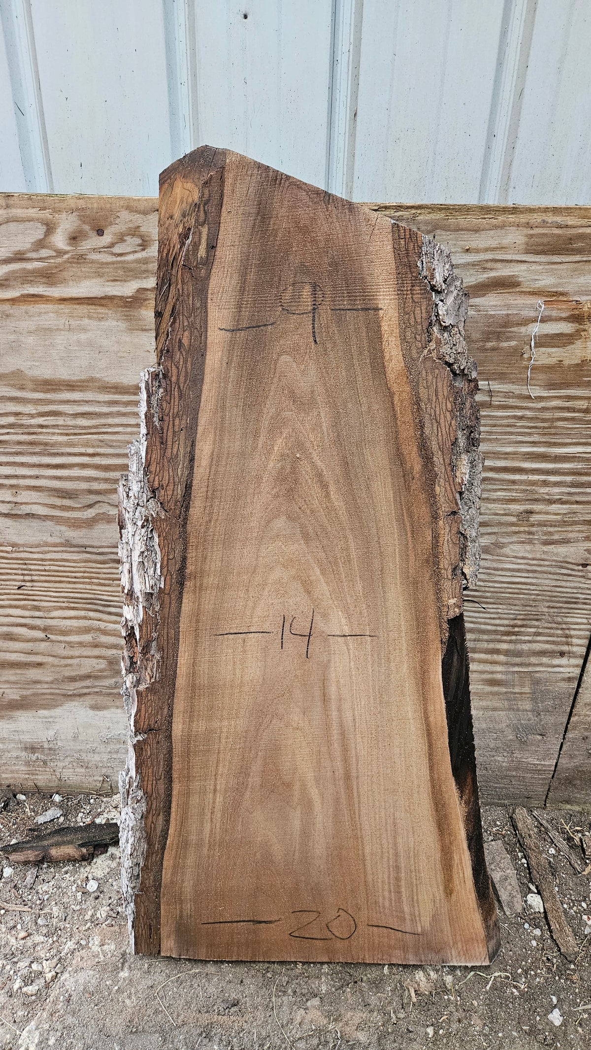 Black Walnut Live Edge Slab 41"x13"-22"x2"
