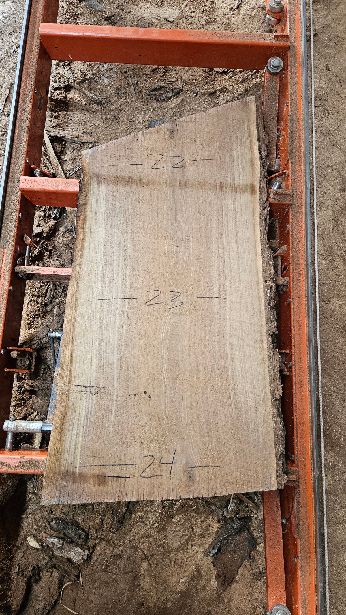 Black Walnut Live Edge Slab 41"x20"-25"x3"