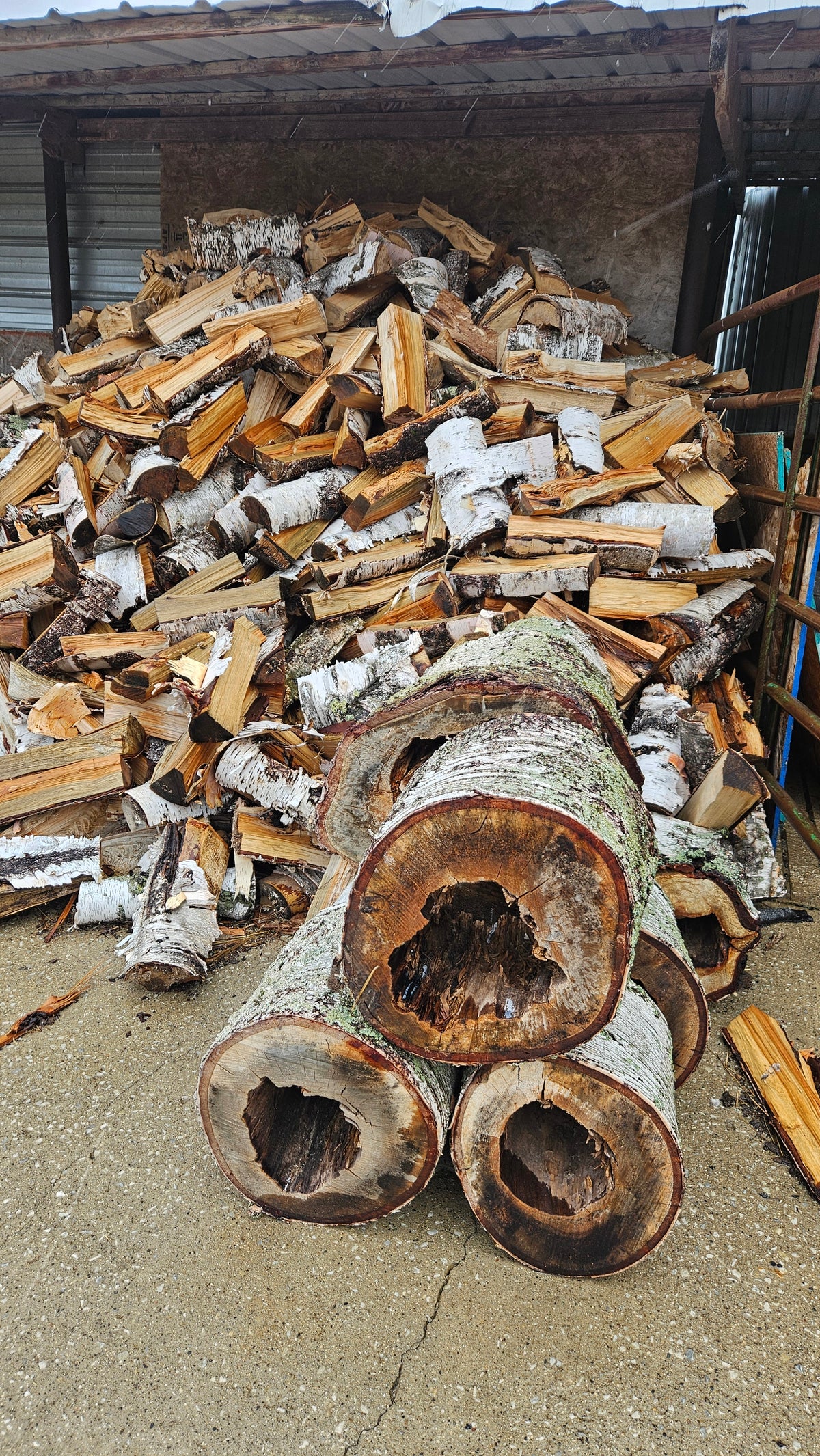 Birch Firewood - Split