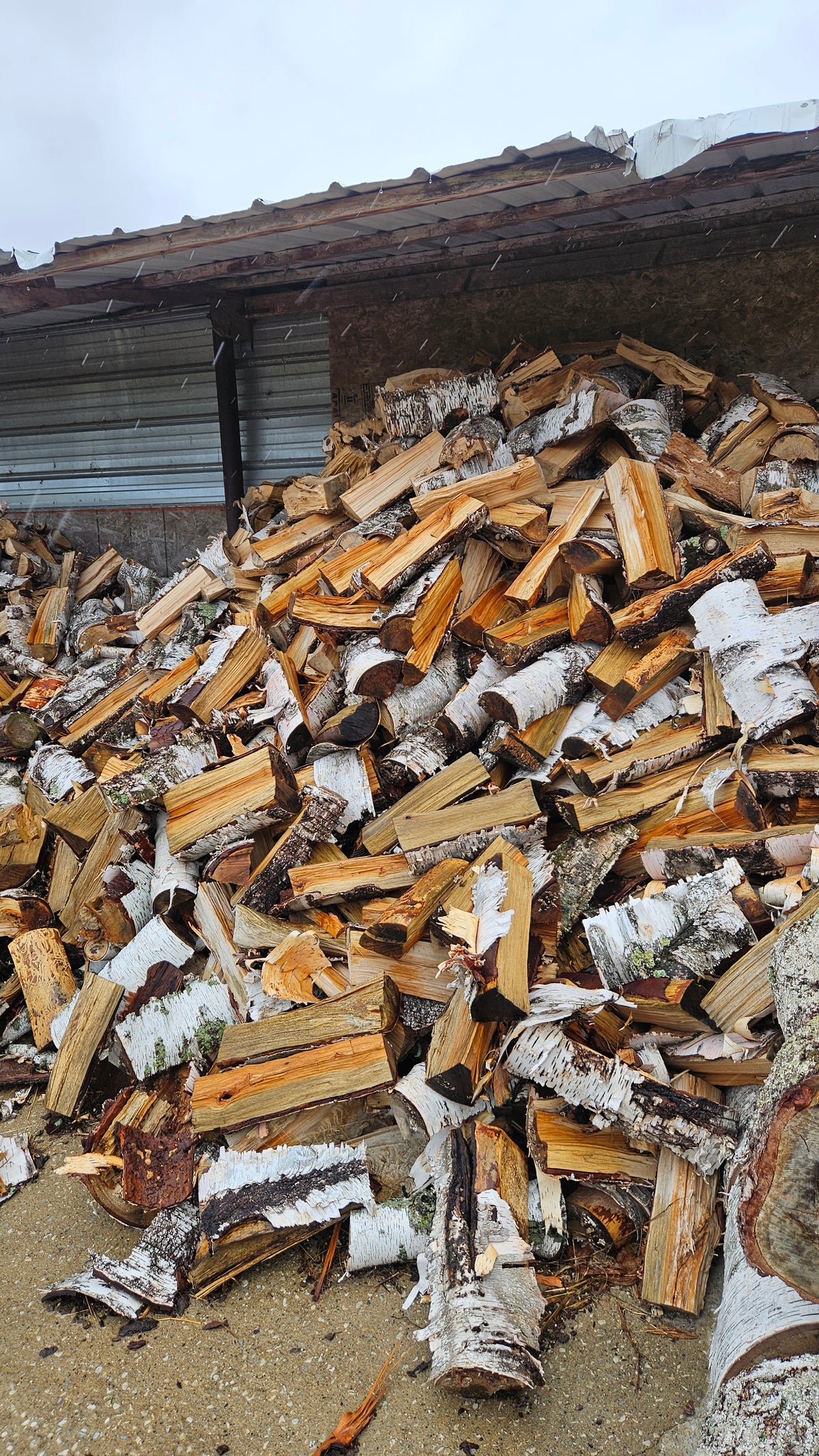 Birch Firewood - Split