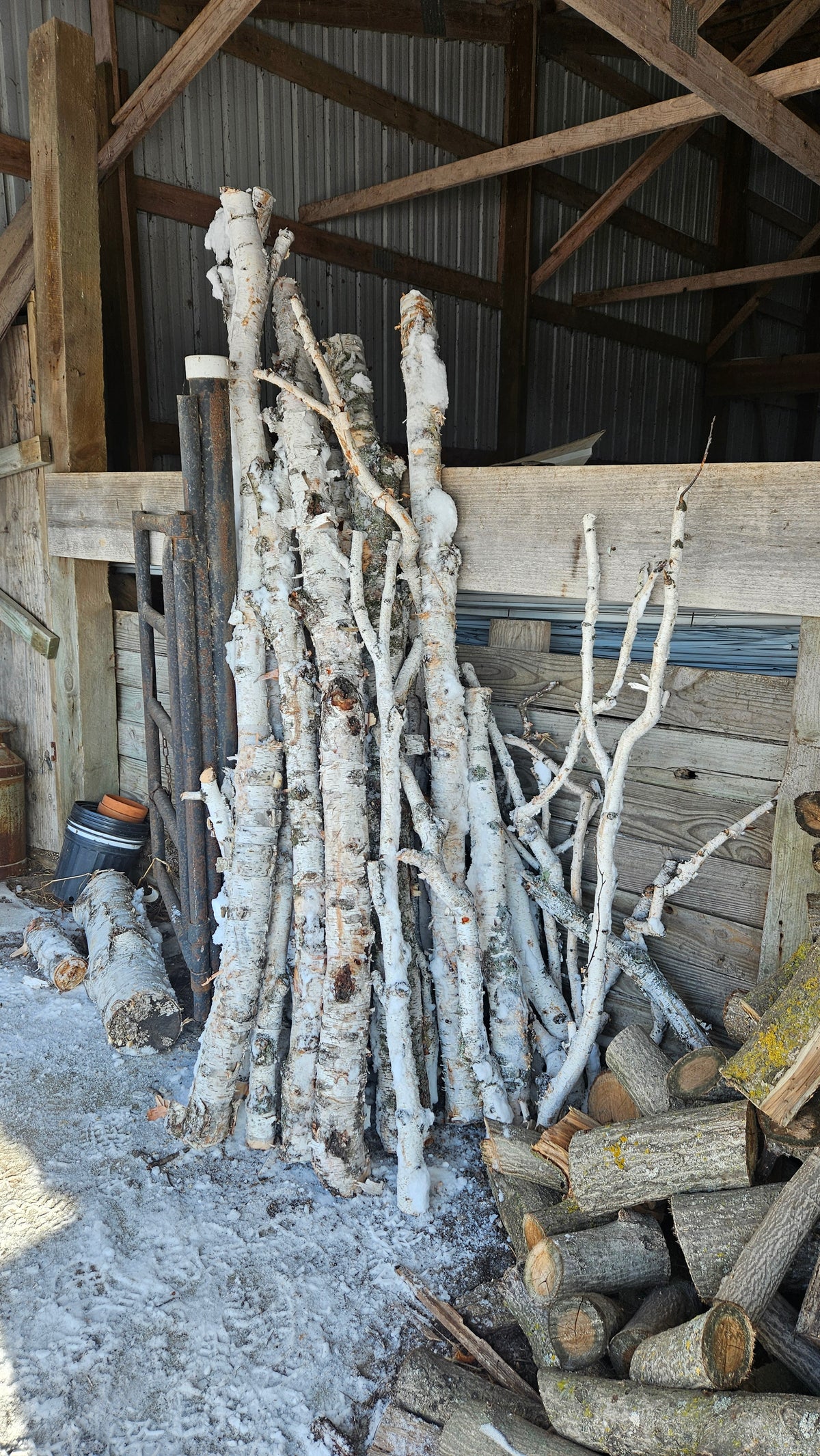 Birch Poles