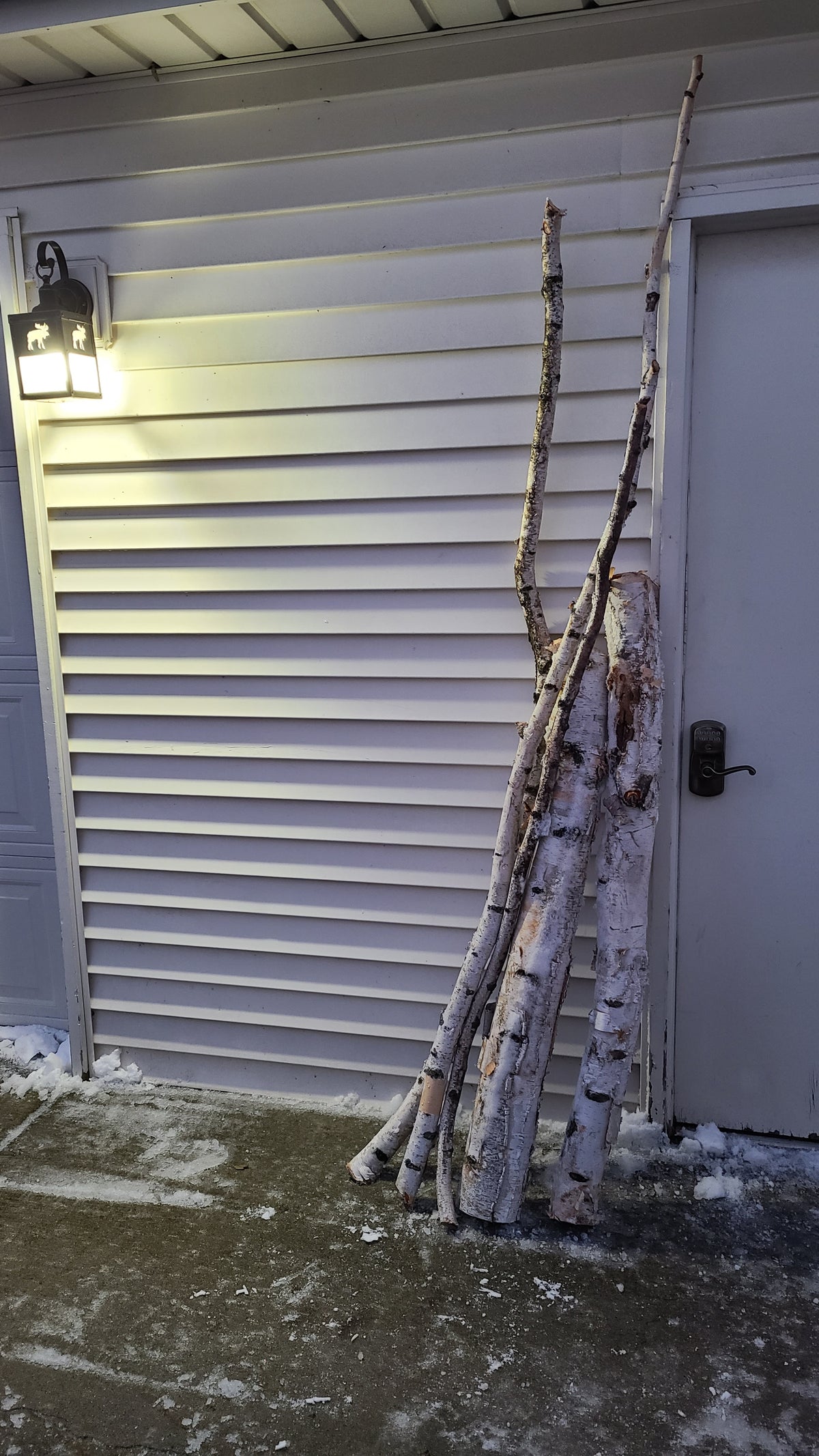 Birch Poles