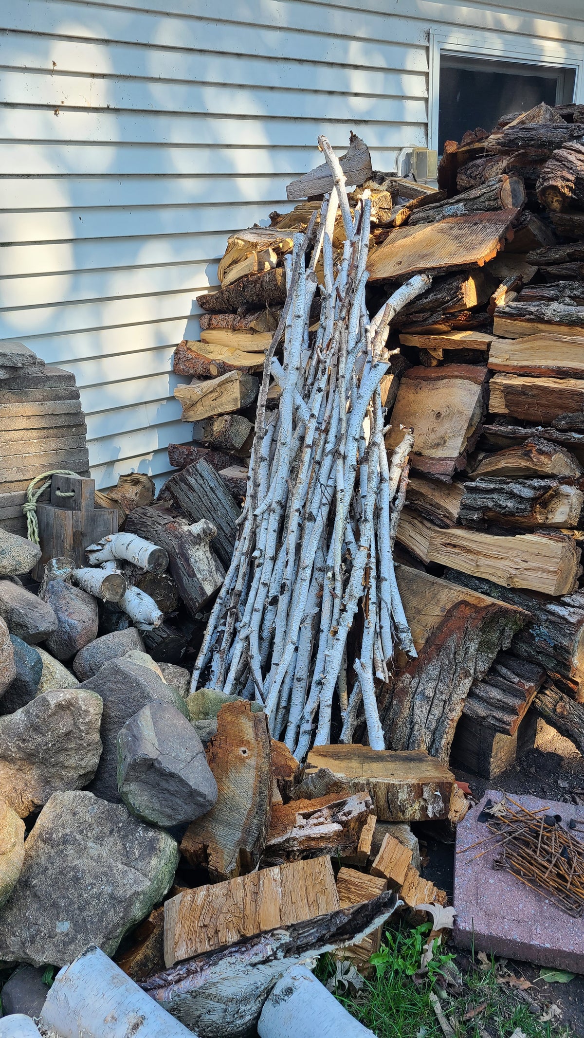 Birch Poles