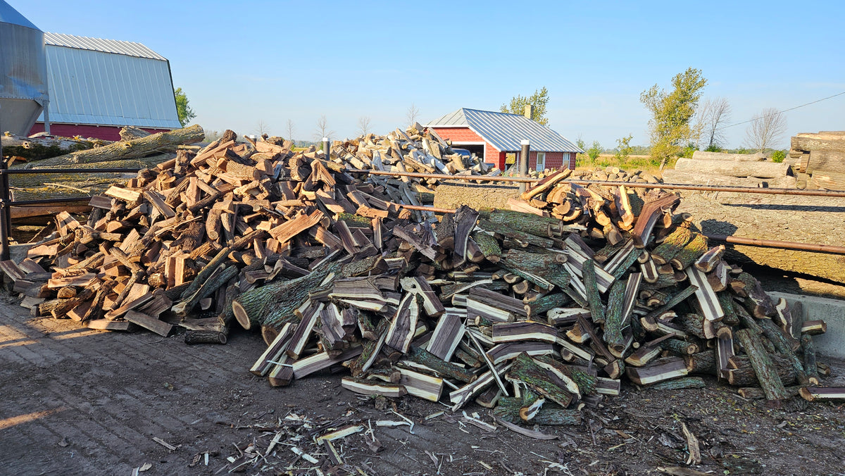 Black Walnut Firewood