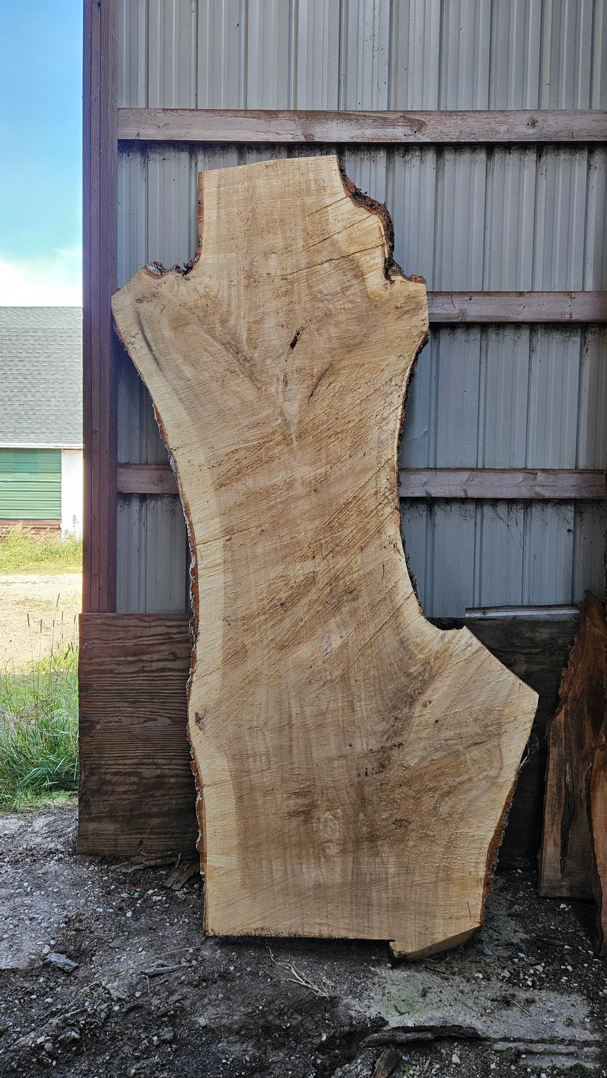 Cottonwood Slab 125"x20"-55"x2.5"