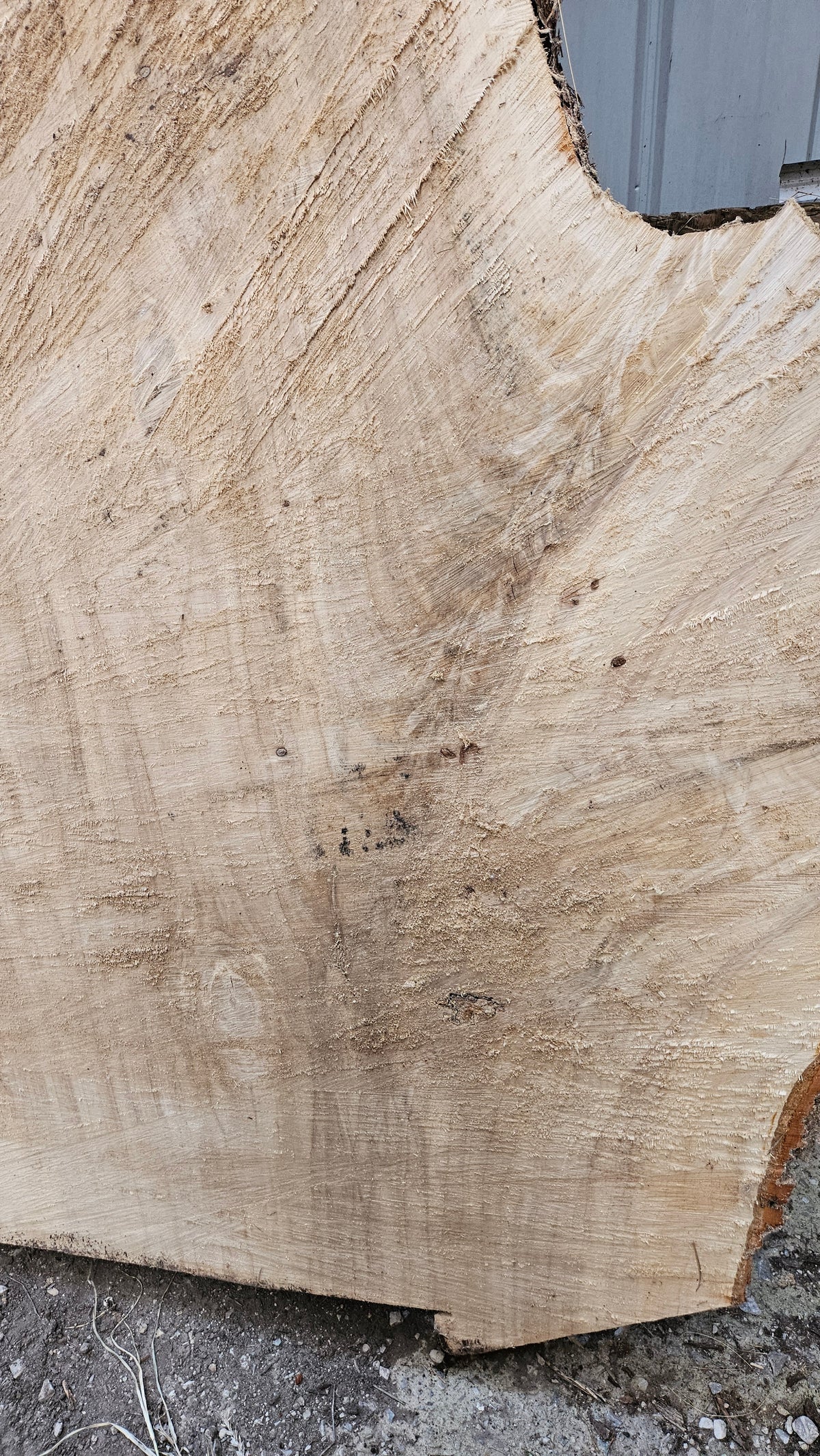 Cottonwood Slab 125"x20"-55"x2.5"