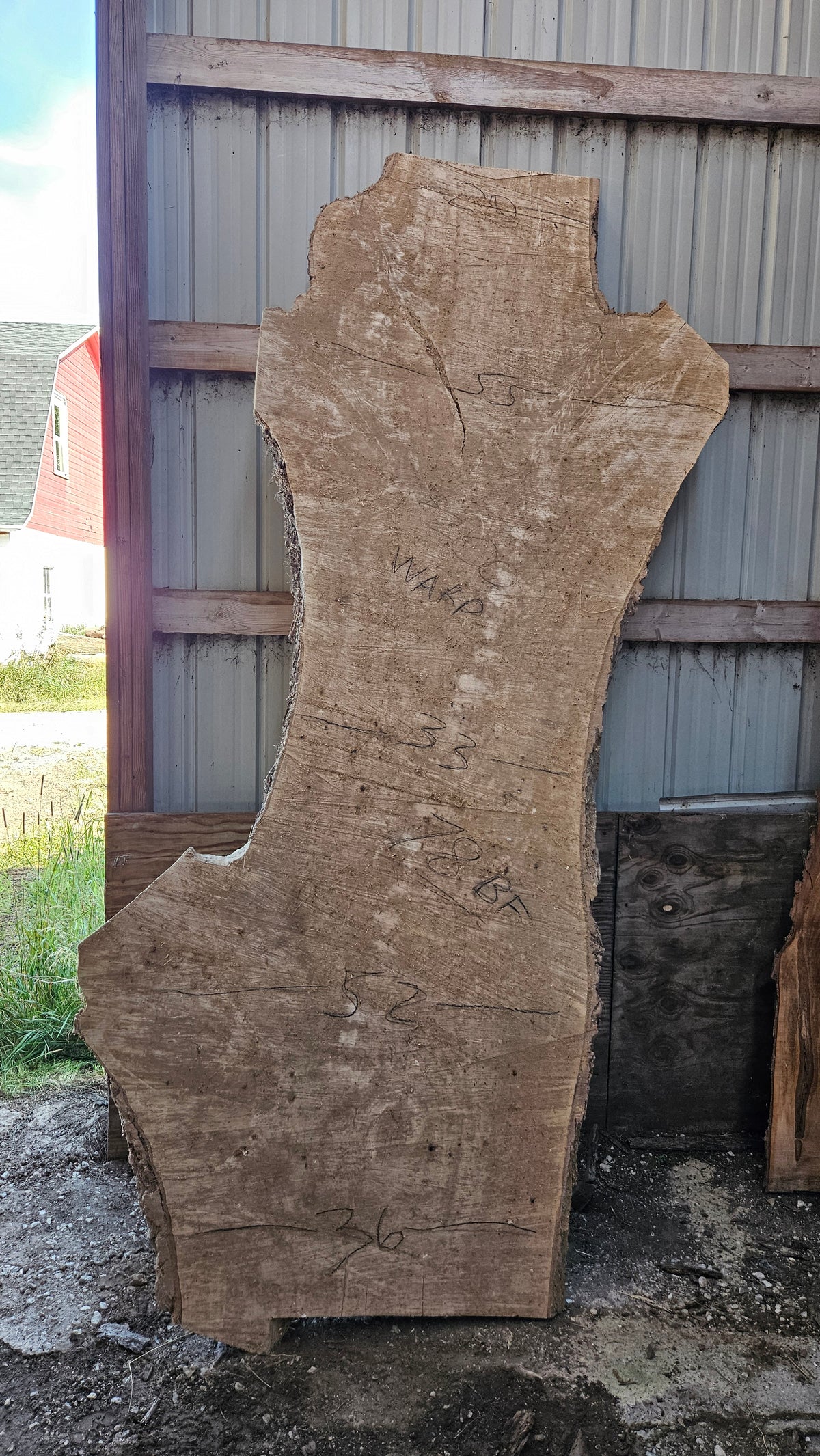 Cottonwood Slab 125"x20"-55"x2.5"