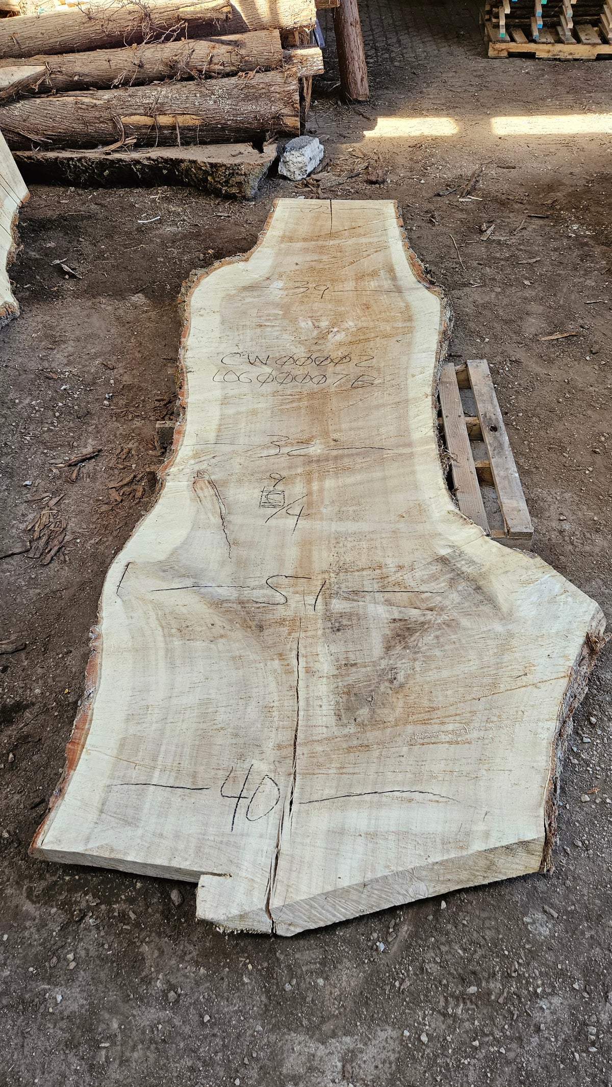 Cottonwood Slab 125"x26"-53"x2.25"