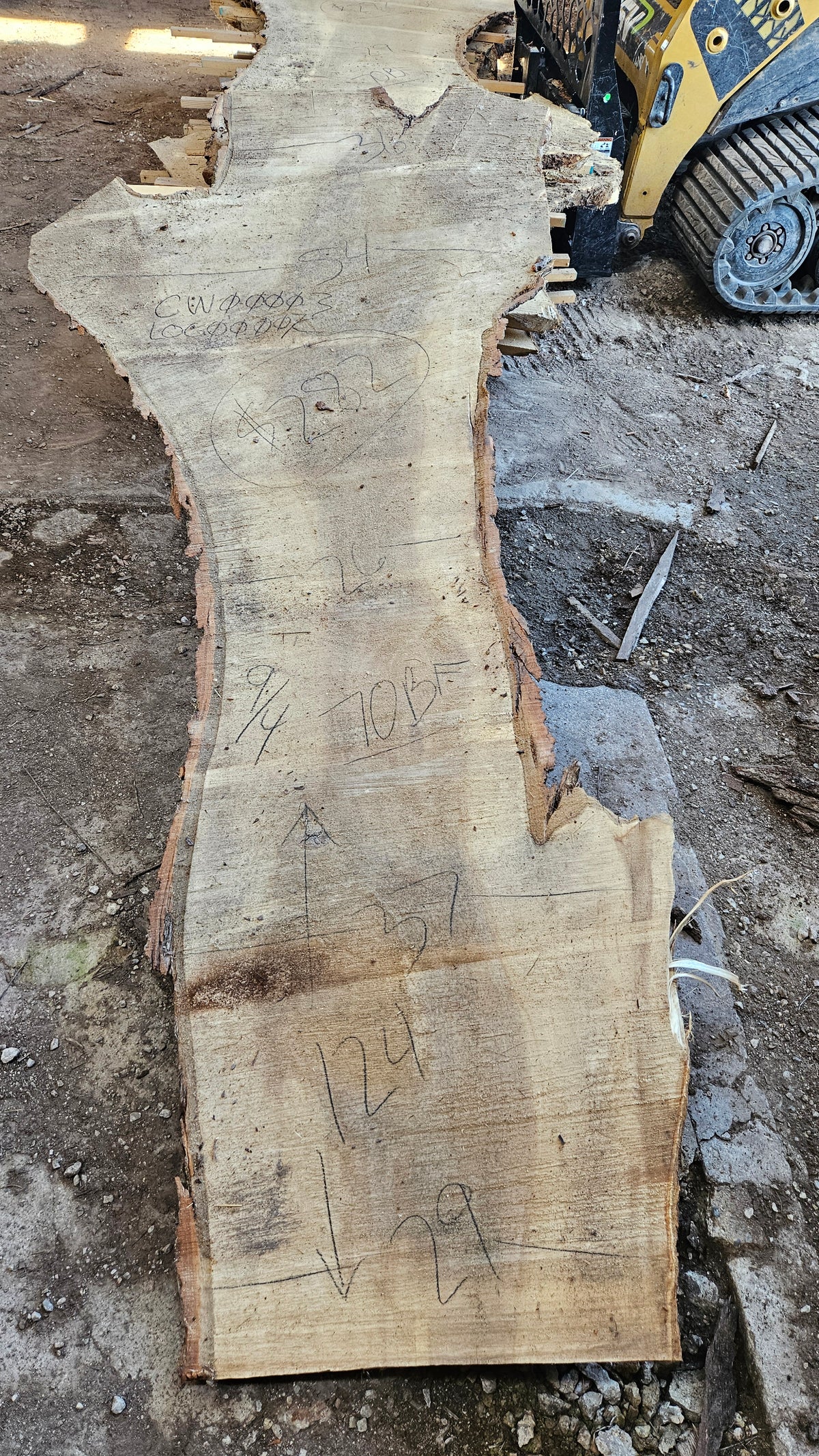 Cottonwood Slab 124"x26"-54"x2.25"