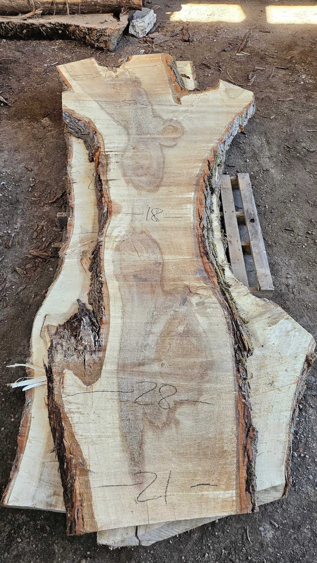 Cottonwood Slab 124"x26"-54"x2.25"