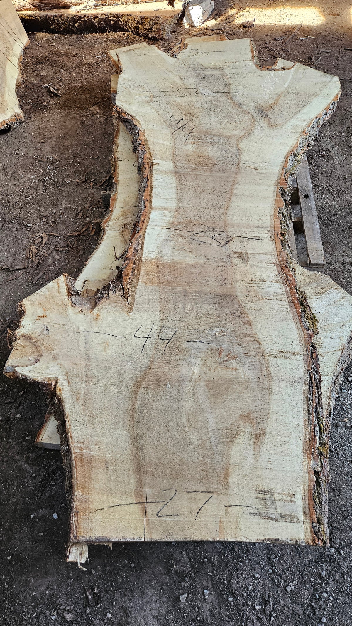 Cottonwood Slab 125"x29"-55"x2.25"
