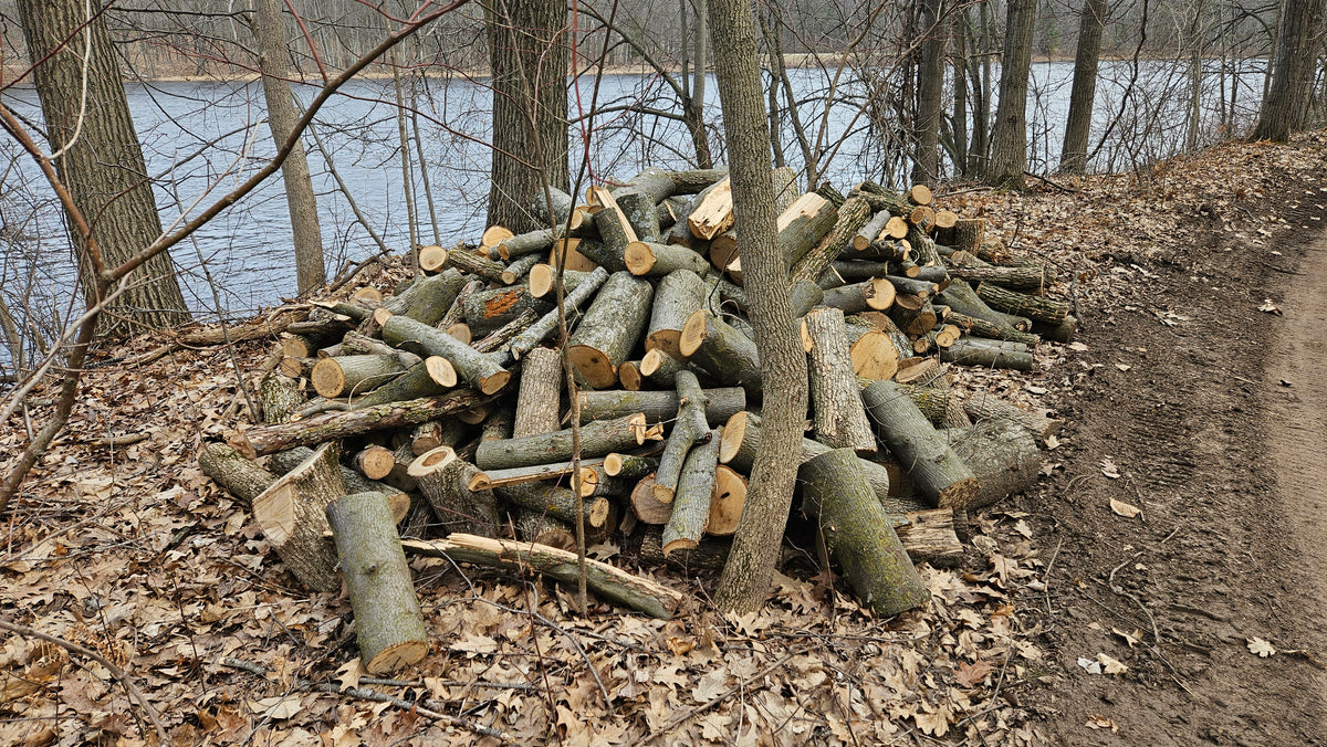 Elm Firewood - Chunks - Unseasoned