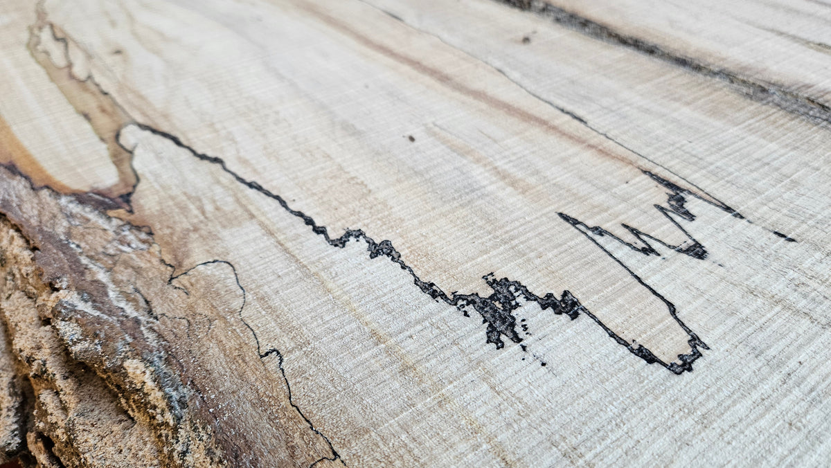 Spalted Sugar Maple Live Edge Slab 51"x9"-22"x2"