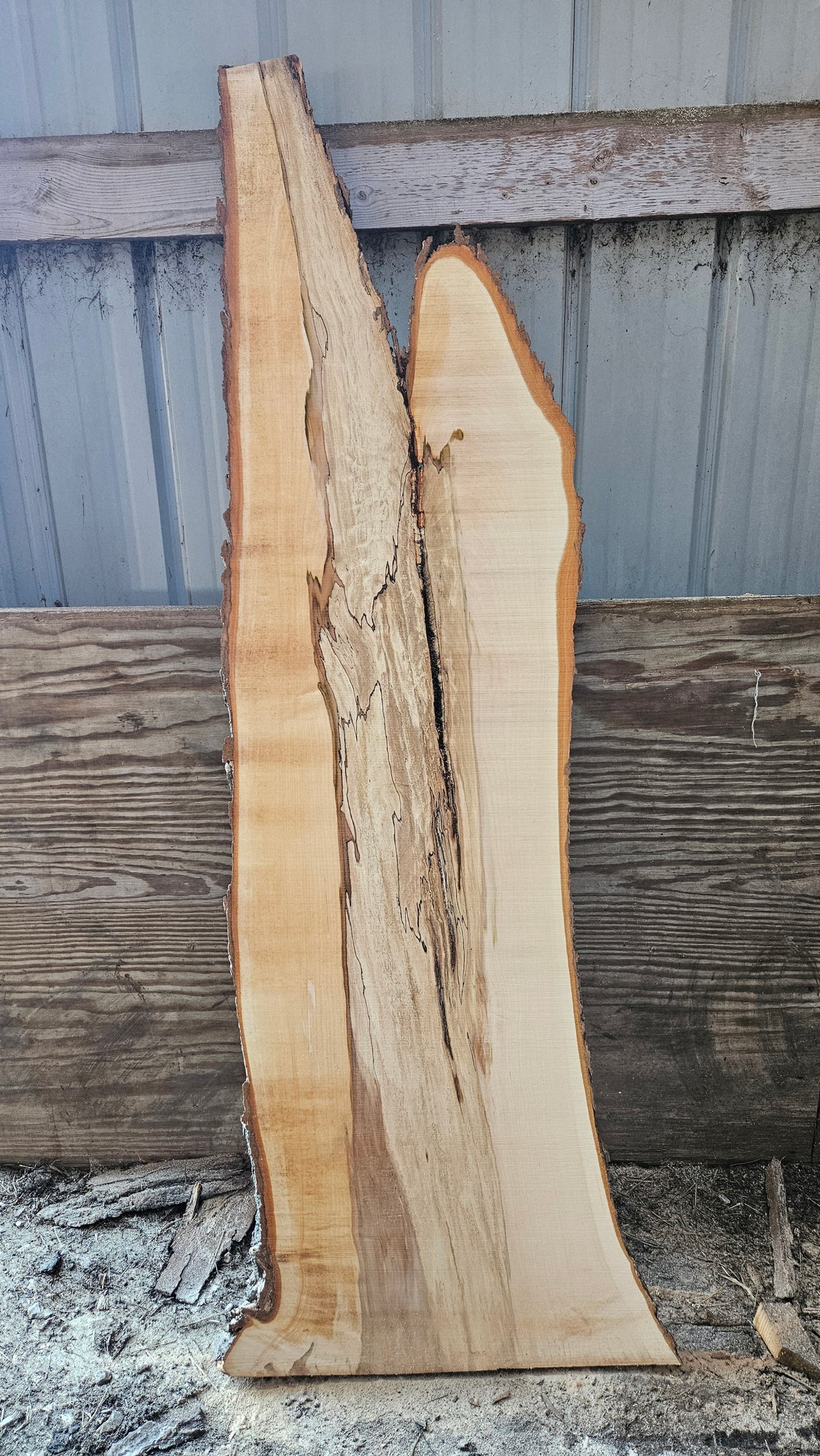 Spalted Sugar Maple Live Edge Slab 56"-76"x18"-25"x2"