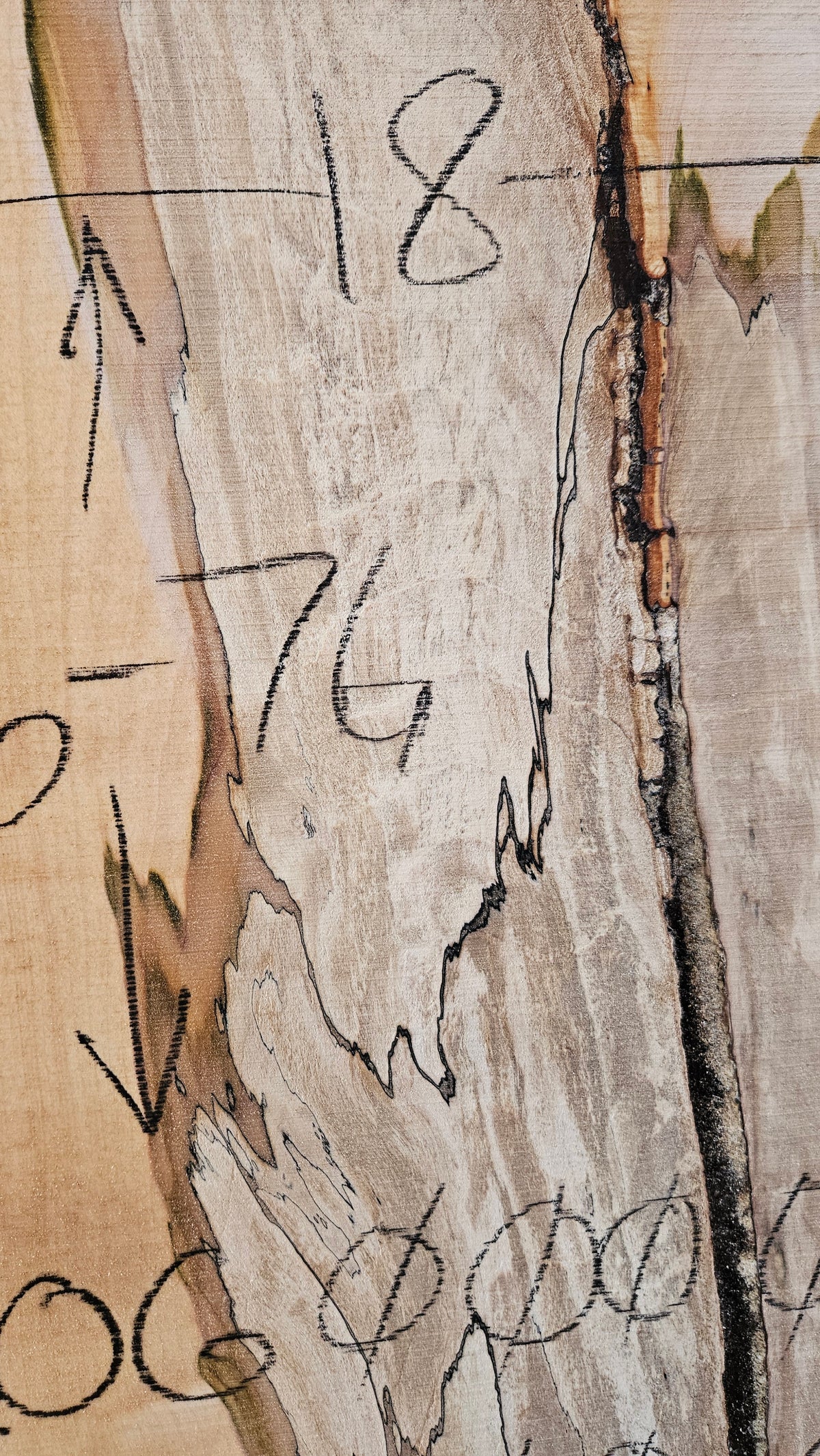 Spalted Sugar Maple Live Edge Slab 56"-76"x18"-25"x2"