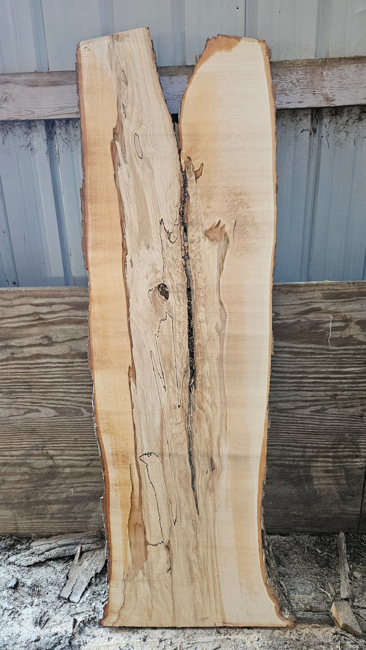 Spalted Sugar Maple Live Edge Slab 61"-76"x22"-23"x2"
