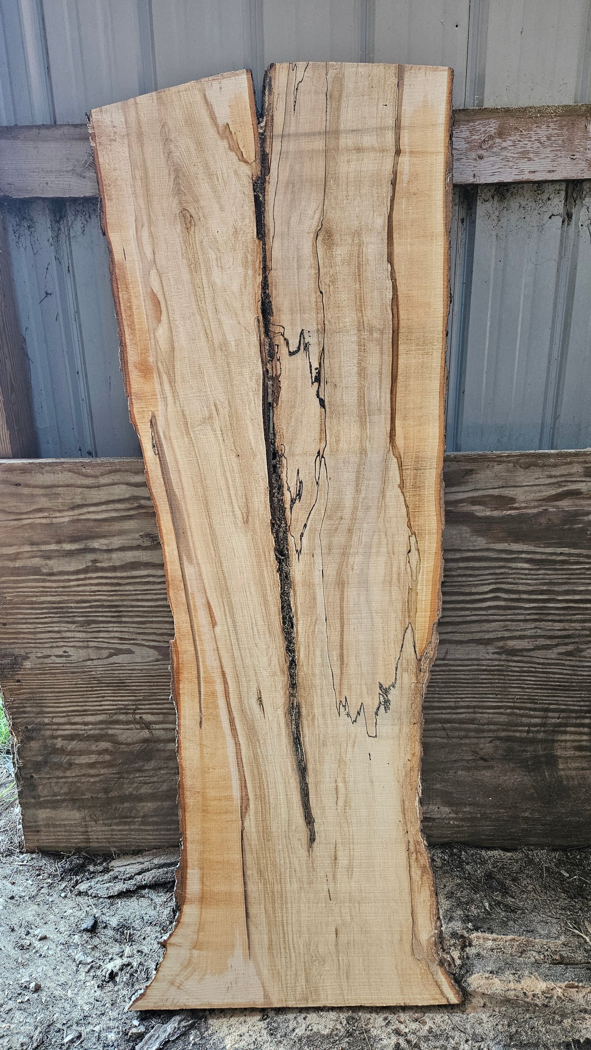 Spalted Sugar Maple Live Edge Slab 73"x22"-28"x2"
