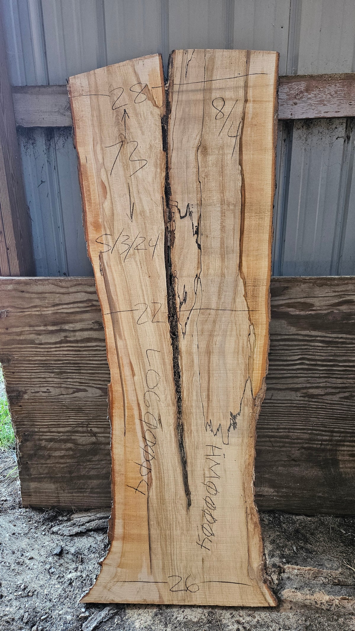Spalted Sugar Maple Live Edge Slab 73"x22"-28"x2"