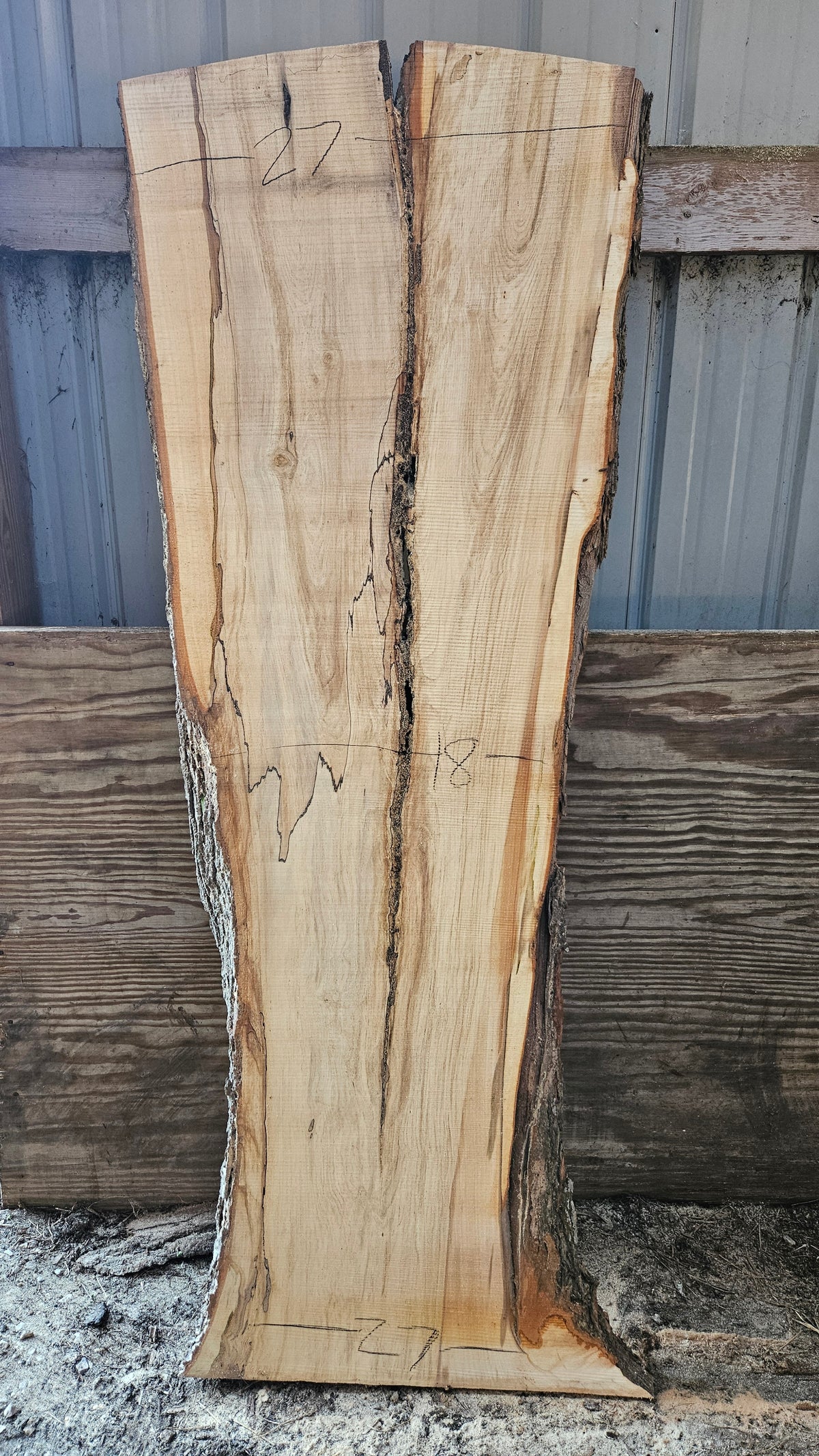 Spalted Sugar Maple Live Edge Slab 73"x22"-28"x2"
