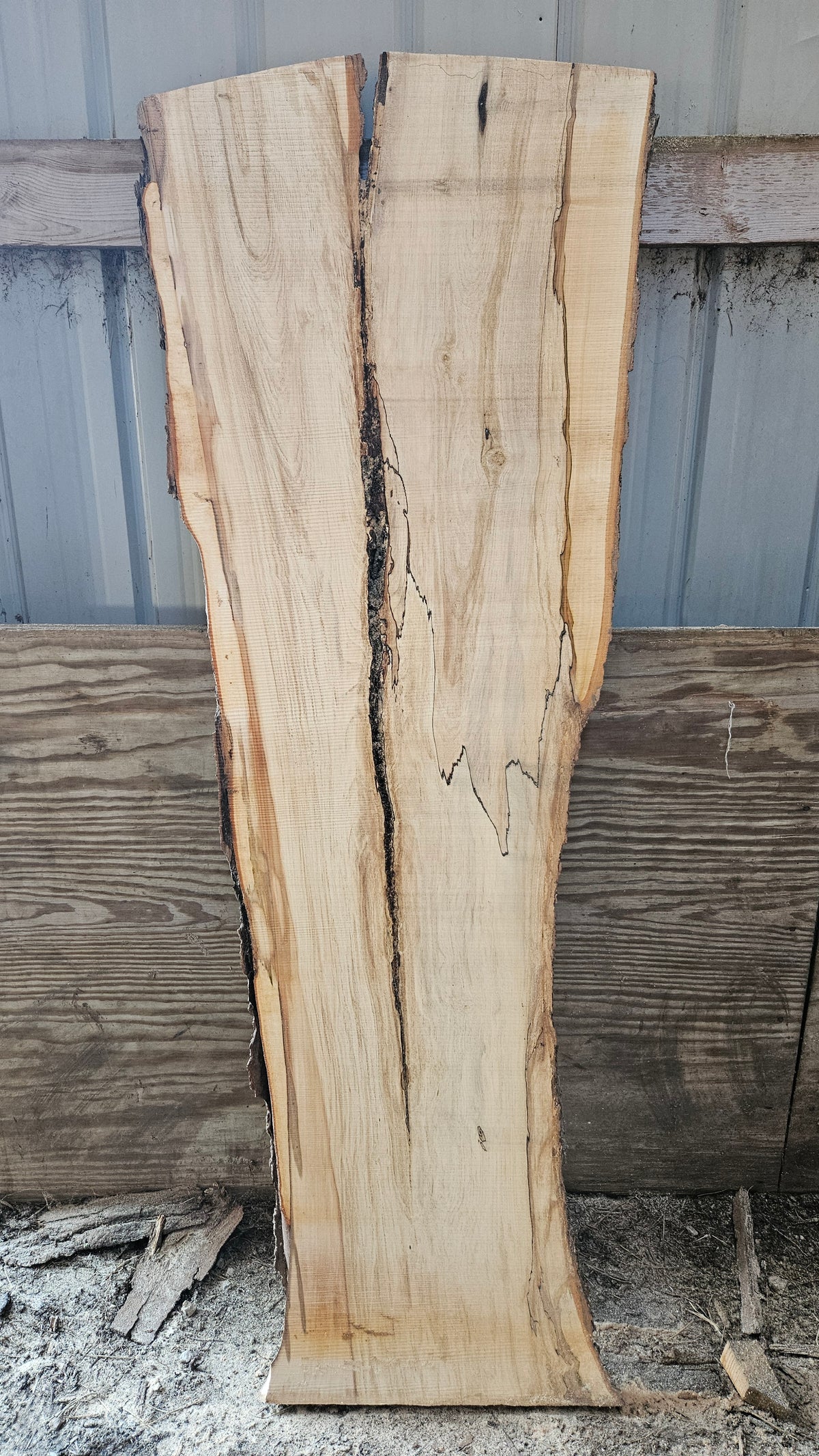 Spalted Sugar Maple Live Edge Slab 74"x19"-27"x2"
