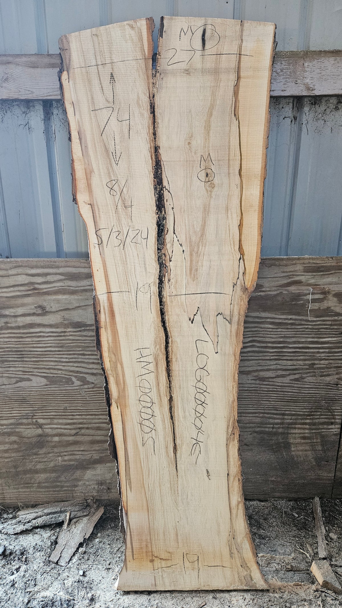 Spalted Sugar Maple Live Edge Slab 74"x19"-27"x2"