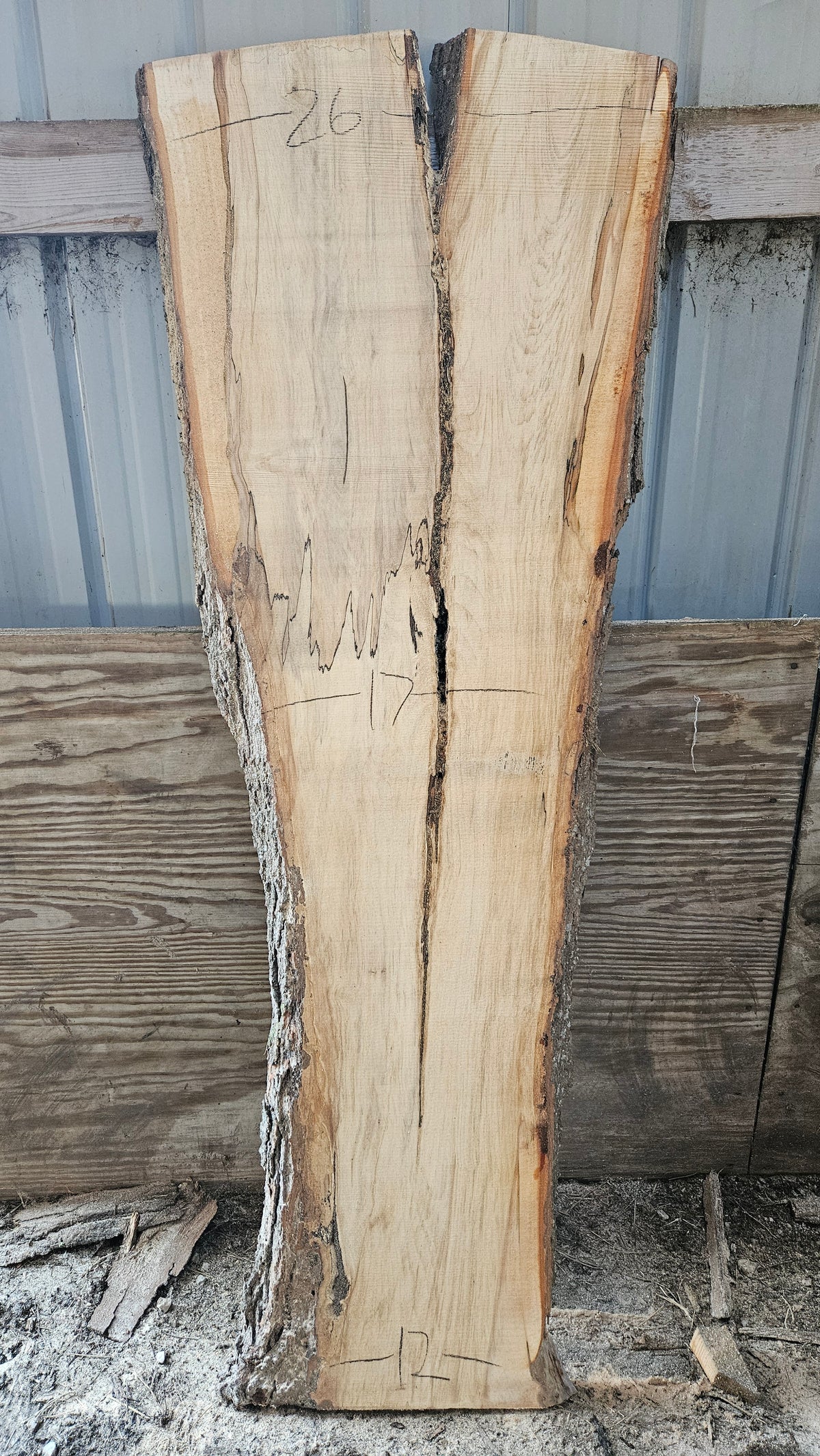 Spalted Sugar Maple Live Edge Slab 74"x19"-27"x2"